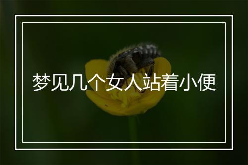 梦见几个女人站着小便