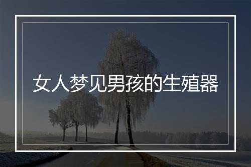 女人梦见男孩的生殖器