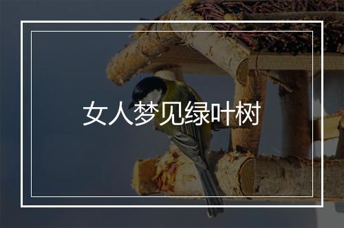 女人梦见绿叶树