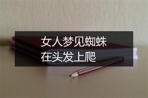 女人梦见蜘蛛在头发上爬