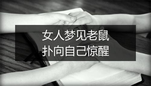 女人梦见老鼠扑向自己惊醒