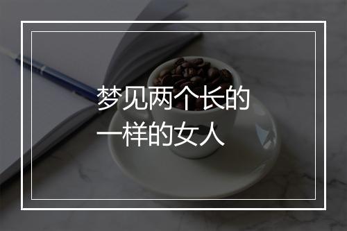 梦见两个长的一样的女人