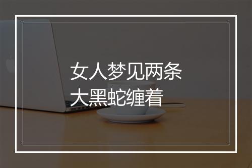 女人梦见两条大黑蛇缠着