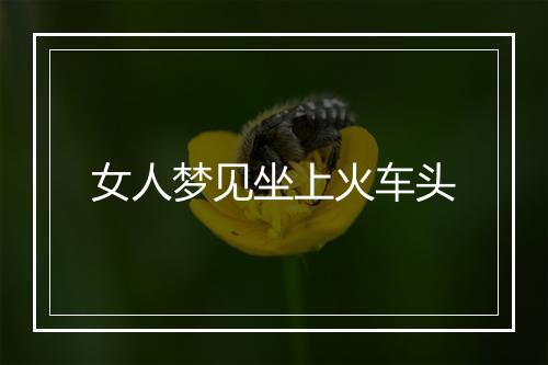 女人梦见坐上火车头