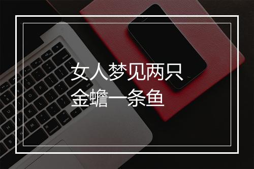 女人梦见两只金蟾一条鱼