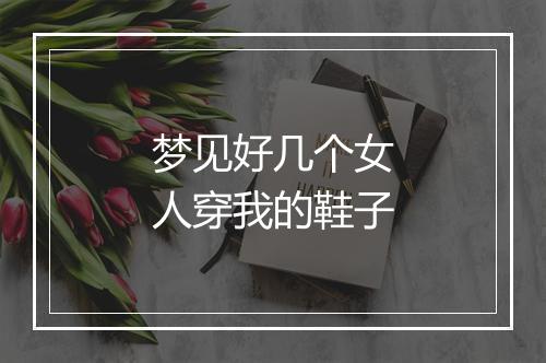 梦见好几个女人穿我的鞋子