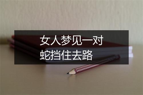 女人梦见一对蛇挡住去路