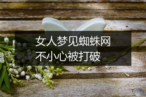 女人梦见蜘蛛网不小心被打破