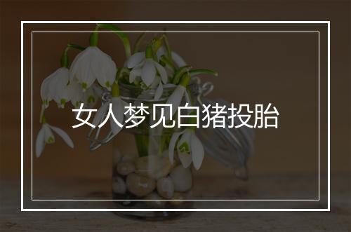 女人梦见白猪投胎