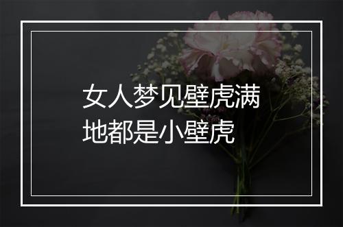 女人梦见壁虎满地都是小壁虎