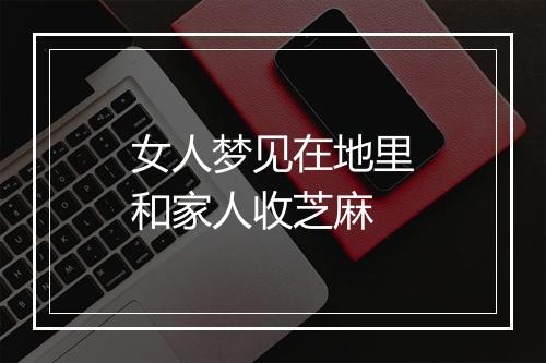 女人梦见在地里和家人收芝麻