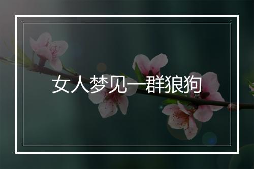 女人梦见一群狼狗