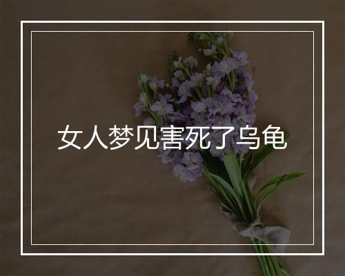 女人梦见害死了乌龟