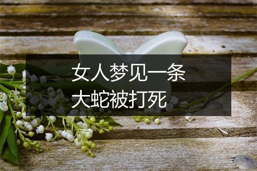 女人梦见一条大蛇被打死