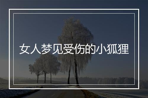 女人梦见受伤的小狐狸