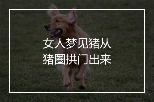 女人梦见猪从猪圈拱门出来