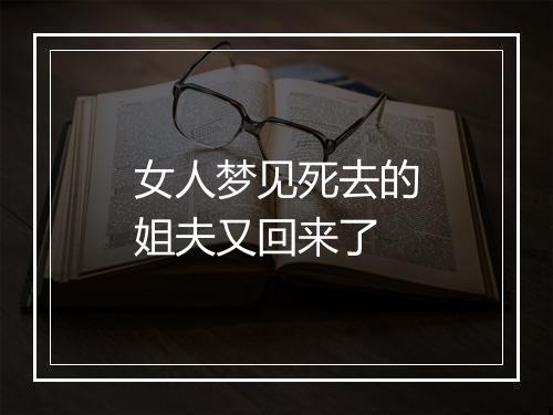 女人梦见死去的姐夫又回来了