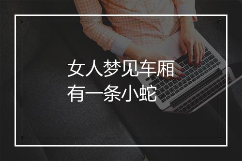 女人梦见车厢有一条小蛇