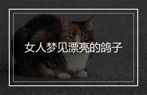 女人梦见漂亮的鸽子