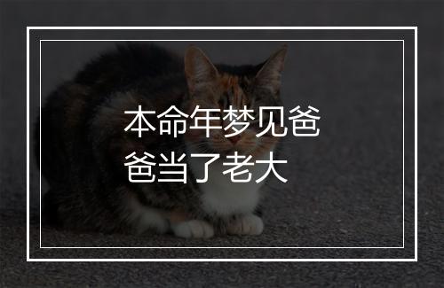 本命年梦见爸爸当了老大