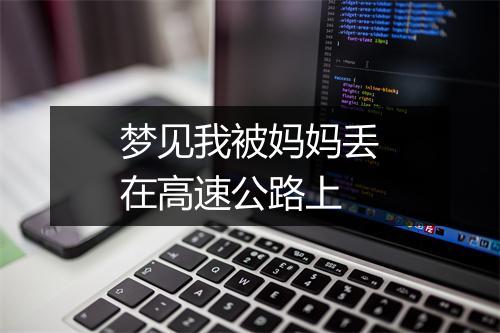 梦见我被妈妈丢在高速公路上