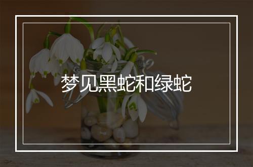 梦见黑蛇和绿蛇