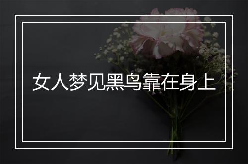 女人梦见黑鸟靠在身上