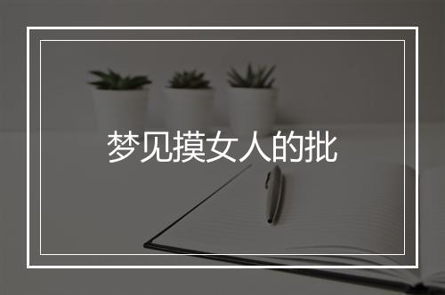 梦见摸女人的批