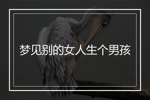 梦见别的女人生个男孩