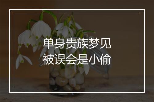 单身贵族梦见被误会是小偷