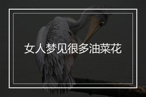 女人梦见很多油菜花