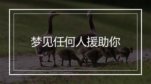 梦见任何人援助你