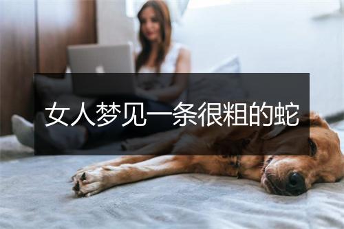 女人梦见一条很粗的蛇