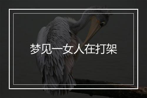 梦见一女人在打架