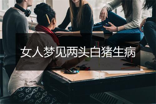 女人梦见两头白猪生病