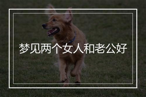 梦见两个女人和老公好