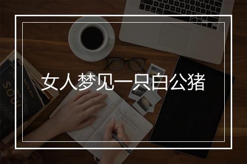 女人梦见一只白公猪