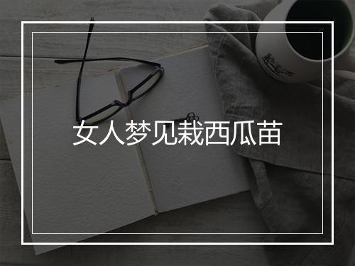 女人梦见栽西瓜苗