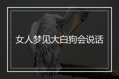 女人梦见大白狗会说话