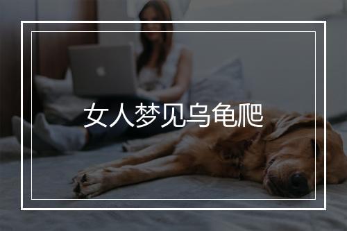 女人梦见乌龟爬