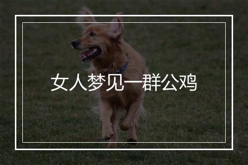 女人梦见一群公鸡