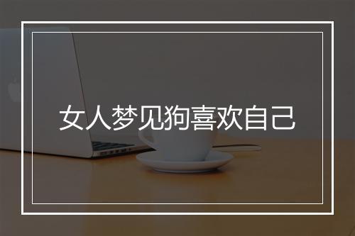 女人梦见狗喜欢自己