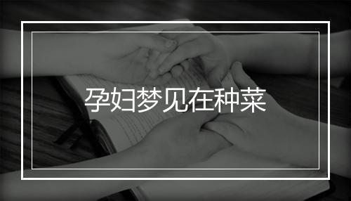 孕妇梦见在种菜