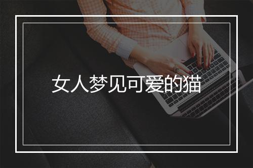 女人梦见可爱的猫