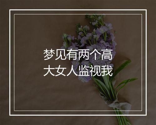 梦见有两个高大女人监视我