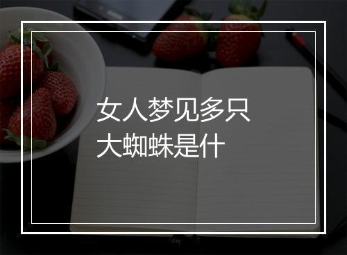 女人梦见多只大蜘蛛是什