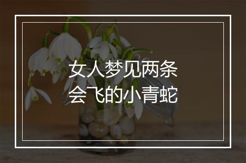 女人梦见两条会飞的小青蛇