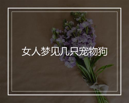 女人梦见几只宠物狗