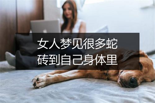 女人梦见很多蛇砖到自己身体里