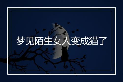 梦见陌生女人变成猫了